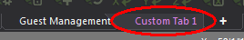 CustomTab1Result.png